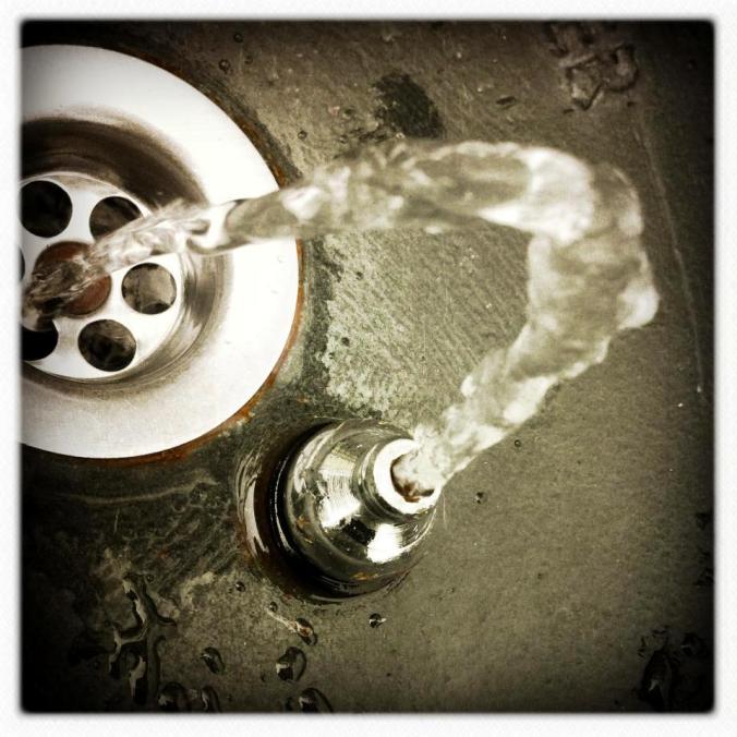 315970_282760818430899_2066380415_n